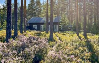 3 Bedroom Cozy Home In Treungen - Treungen - 0