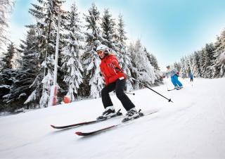 Laholms Vandrarhem - 9