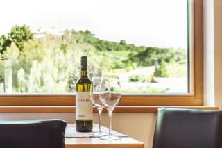 Weingut Stadler - - 4
