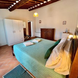 Podere Scoldasu - Minerva - 3