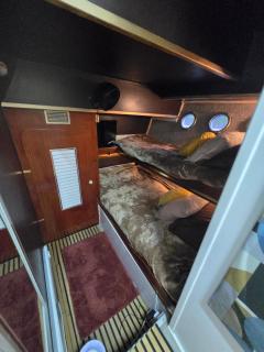 Rhapsody in Blue - Chertsey - 1
