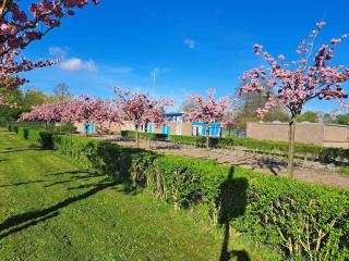 Villa Present - Chalet Heinkenszand VP006 - 7