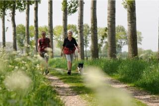 Villa Present - Chalet Heinkenszand VP008 - 3