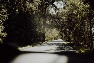 Chatka na Wiedźmiej Górce - 5