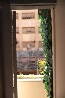 Zanobians - Il Cairo - 5