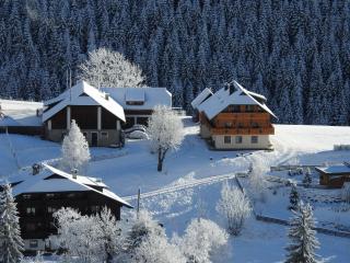 Der Hoferbauer - Bad Kleinkirchheim - 1