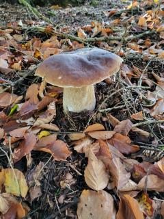 la Grange - Dourbies - 2