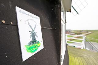 Fewo Nordermühle - Pellworm - 3
