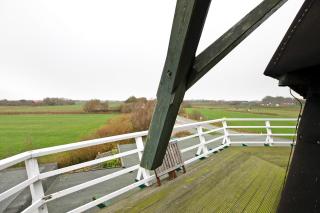 Fewo Nordermühle - Pellworm - 6