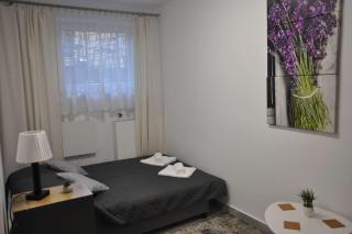 Legionowo Przytulny Apartament z Tarasem by Noclegi Renters - Legionowo - 5