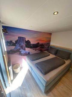 Prachtig Boschalet met CV, Airco en Sauna op de Veluwe - Doornspijk - 9