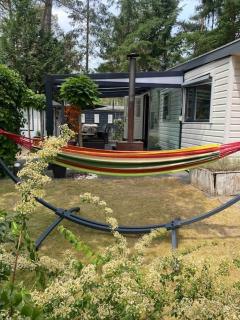 Prachtig Boschalet met CV, Airco en Sauna op de Veluwe - Doornspijk - 8