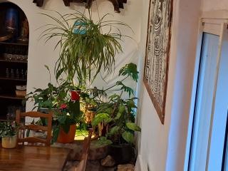 Mas des Olivettes - 5