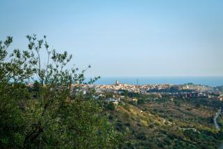 Tenuta Olive Alive - Noto - 3