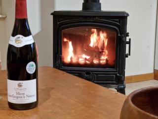 La Terrasse - Ancienne Maison de Vigneron à St Gengoux - 8