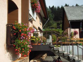 Haus Anita - Menzenschwand - 5