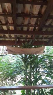 CASA na PRAIA com experiência - Ilhabela - 4