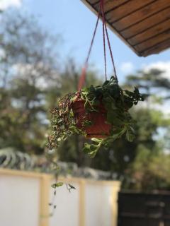 COZY NYUMBA - 4