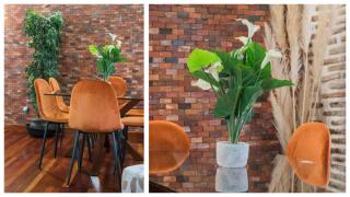 Apartamentos Las Teresitas junto a la Catedral - 6