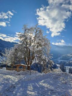 Ferienhof Leitengut - 2