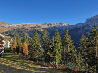 Appartement spacieux à Flaine Forêt · Balcon Sud · Parking couvert · Proche pistes et commerces - FR-1-425-124 - Flaine - 1