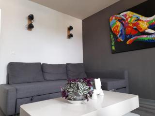 Like home, in Geneva's neighborhood - Ville-la-Grand - 3
