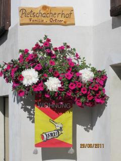 Ferienwohnungen am Pietschacherhof - Hochrindl - 1