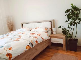 Alacaster apartment with private parking - Novi Sad - 9