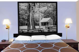 Super 8 by Wyndham Whiteville - Whiteville - 7