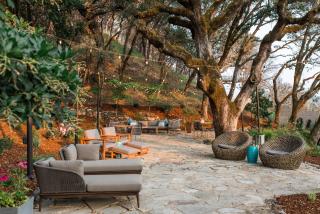 Olea Hotel - Glen Ellen - 2