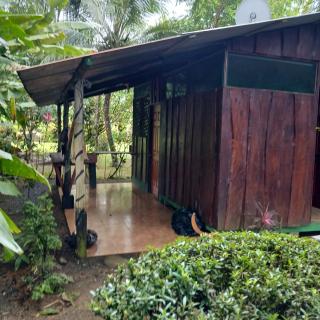 Casa Osa Bella Cabina Rayo Verde - Puerto Jiménez - 6