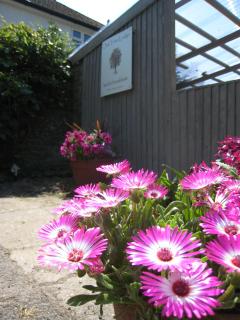 Oak Tree Lodge & Holiday Parking - Burstow - 9