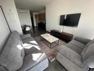 Luxurious two bedroom apartment with roof garden - Kato Lakatamia - 9