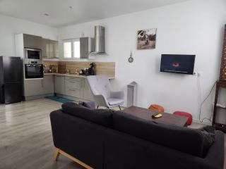 Appartement hyper-centre Epernay avec sauna et parking privé - 7