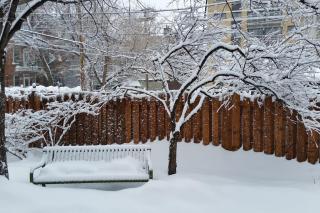 Cozy Montreal Skylight Apartment, pets welcome! - Montreal - 8