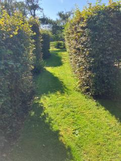 Ley Park - Bideford - 8