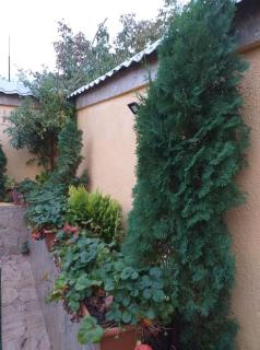 Sweet Family Home in Yerevan - Erevan - 9