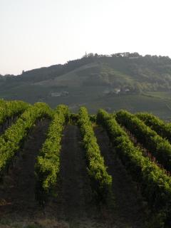 Agriturismo Bastian - Fontanile - 3