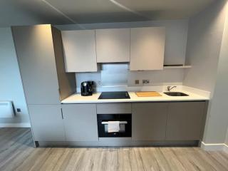 Spacious Modern Flat by Slough Station - 4