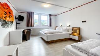 Smart Resorts B&B1 BB1 125 - Winterberg - 3