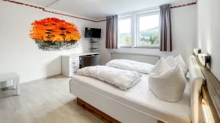 Smart Resorts B&B1 BB1 125 - Winterberg - 1