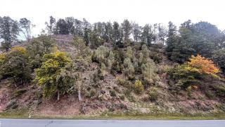 Smart Resorts B&B1 BB1 132 - 3