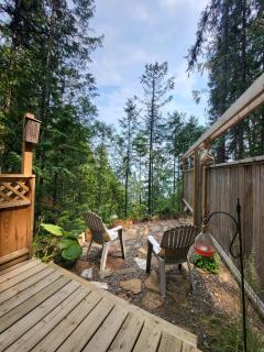 Forest Nook - 0