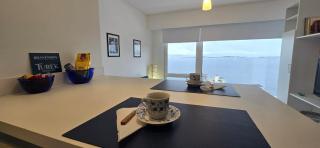Turek Residences - Ushuaia - 2