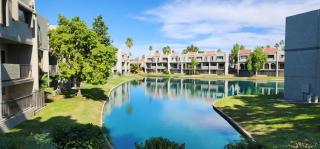 Gated Dobson Ranch townhouse, balcony, golf views - Mesa - 0