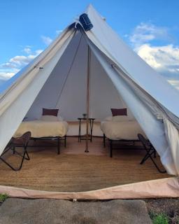 Starlight Yellowstone - 4