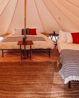 Starlight Yellowstone - 9