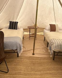 Starlight Yellowstone - 1