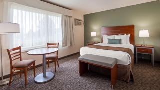 Best Western Buffalo Ridge Inn Near Mt Rushmore - Custer - 7