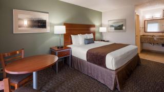 Best Western Buffalo Ridge Inn Near Mt Rushmore - 3